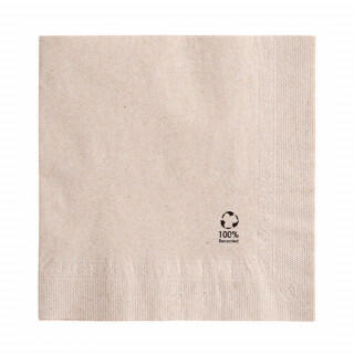 Салфетка бумажная ECO двухслойная, 33*33 см, 100 шт, Garcia de Pou Испания